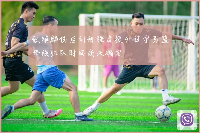 张镇麟伤后训练强度提升辽宁男篮锋线归队时间尚未确定